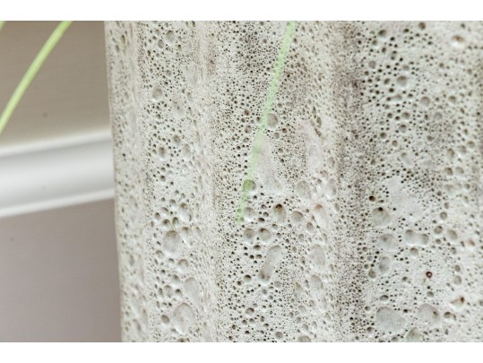 Morning Light Maiden Plant With Ceramic Planter 