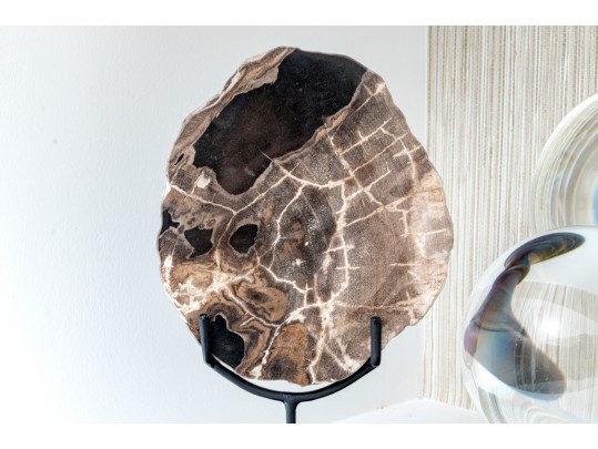 Excellent Tabletop Decor Including Petrified Wood And Crystal Balls