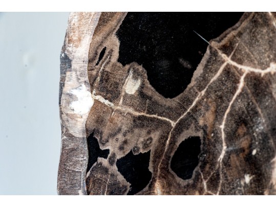 Excellent Tabletop Decor Including Petrified Wood And Crystal Balls