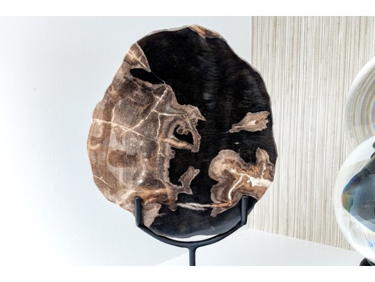 Excellent Tabletop Decor Including Petrified Wood And Crystal Balls