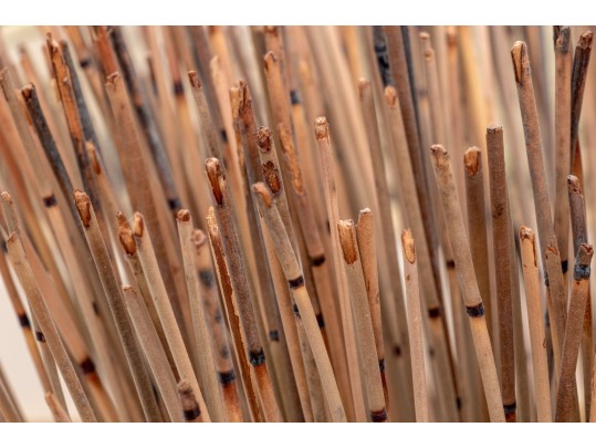 Mexican Ceramic Vase With Natural Reed Arrangement