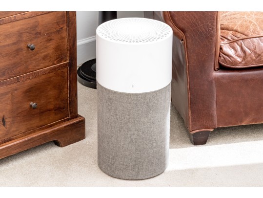 Blueair Air Purifier