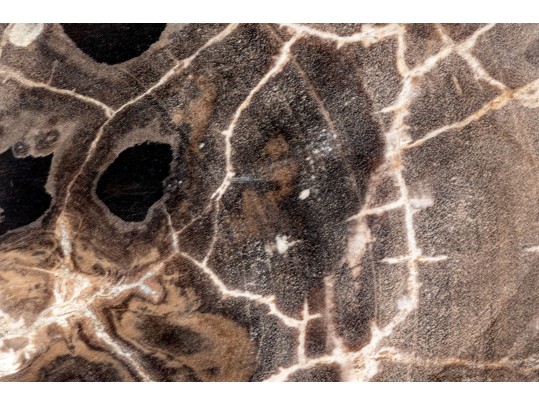 Excellent Tabletop Decor Including Petrified Wood And Crystal Balls