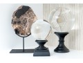 Excellent Tabletop Decor Including Petrified Wood And Crystal Balls