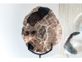 Excellent Tabletop Decor Including Petrified Wood And Crystal Balls