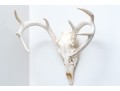 Decorative Deer Skull With Antlers
