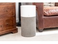 Blueair Air Purifier