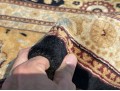 Room Size Hand Knotted Wool Carpet, 15'-7