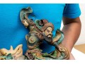 Vintage Chinese Sancai Glazed Figural Pottery Roof Tiles, Ca. 1935
