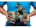 Vintage Chinese Sancai Glazed Figural Pottery Roof Tiles, Ca. 1935
