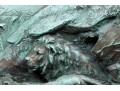 Vintage High Relief Bronze Plaque, Lions In A Landscape