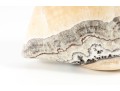 Large Agate Stone Dove Sculpture