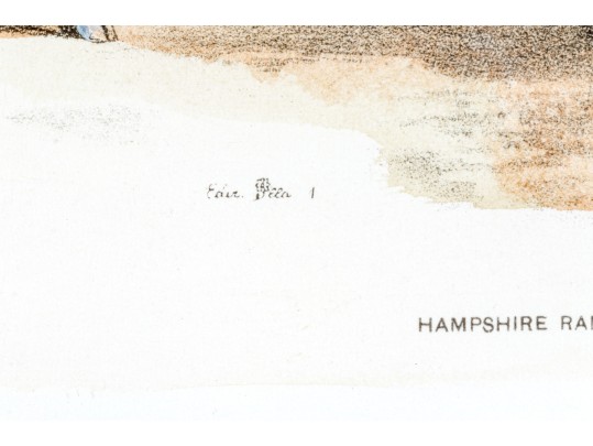 Set Of Four Hand Colored Prints Of Rams