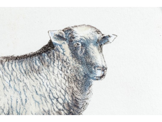 Set Of Four Hand Colored Prints Of Rams