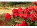 Signed Oil On Canvas, Landscape With Roses And Cyprus Trees