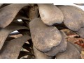 Set Of Three Metallic Palm Form Architectural Elements