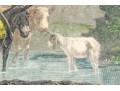 Two Hand Colored French Engraved Prints