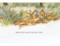 Set Of Four Hand Colored Prints Of Rams