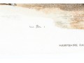 Set Of Four Hand Colored Prints Of Rams