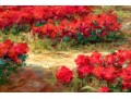 Signed Oil On Canvas, Landscape With Roses And Cyprus Trees
