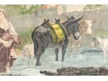Two Hand Colored French Engraved Prints