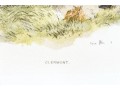 Set Of Four Hand Colored Prints Of Rams