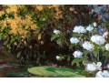 G. Reynolds, 