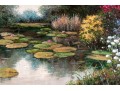 G. Reynolds, 