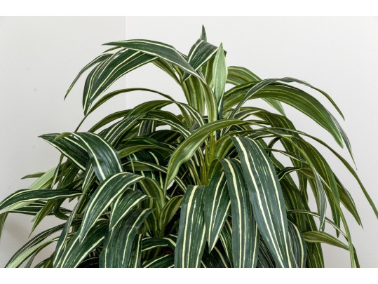 Quality Faux Dracaena Plant In Decorative Planter