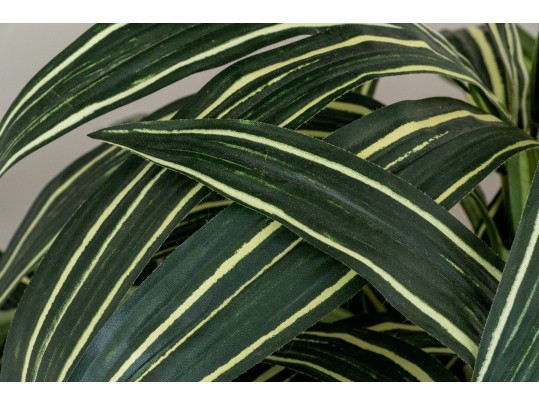Quality Faux Dracaena Plant In Decorative Planter