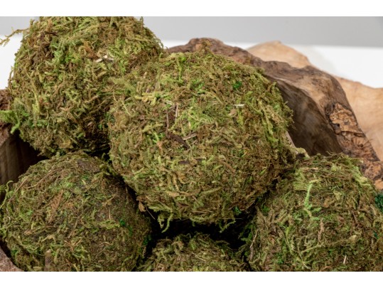 Wonderfully Decorative Wooden Center Piece With Moss Balls