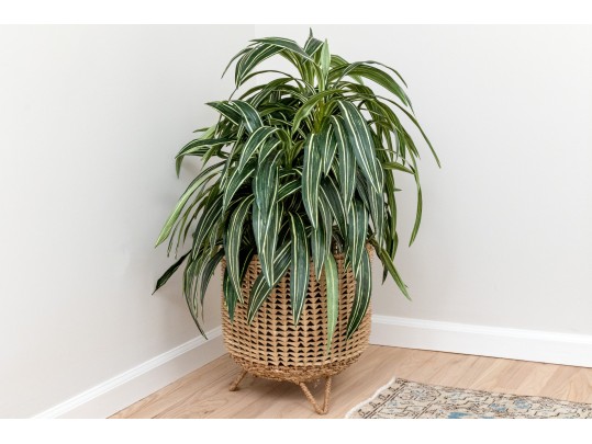 Quality Faux Dracaena Plant In Decorative Planter