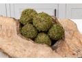 Wonderfully Decorative Wooden Center Piece With Moss Balls