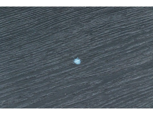 West Elm Highland Storage Cocktail Table