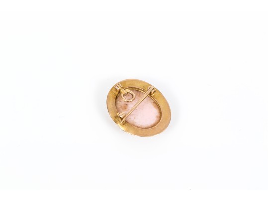 10k Yellow Gold Small Wide Framed Pink Cameo Brooch/pendant