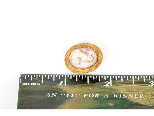 10k Yellow Gold Small Wide Framed Pink Cameo Brooch/pendant