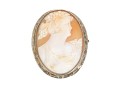 14k White Gold Chased Frame Cameo Brooch/pendant