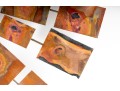 Brutalist Copper Plate Wall Decor