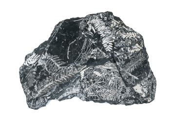 Black Rock Galleries