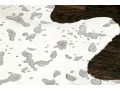 Metallic Hyde Carpet