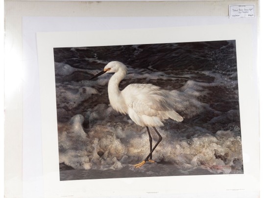 Carl Brenders And Robert Bateman Signed Lithographs Depicting Egrets**