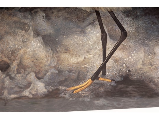 Carl Brenders And Robert Bateman Signed Lithographs Depicting Egrets**