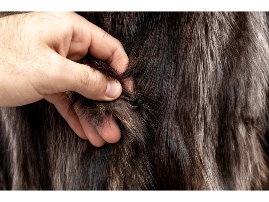 Stunning Luxurious Full-Length Fur Coat