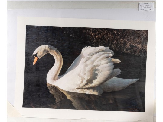 Robert Bateman And Carl Brenders Signed Lithographs Depicting Swans