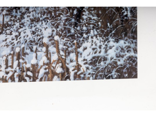 Robert Bateman And Michael Sieve Signed Lithographs Depicting Whitetailed Deer