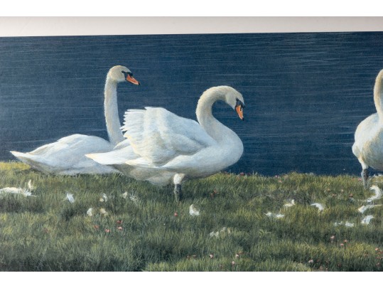 Robert Bateman And Carl Brenders Signed Lithographs Depicting Swans