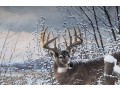 Robert Bateman And Michael Sieve Signed Lithographs Depicting Whitetailed Deer