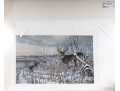 Robert Bateman And Michael Sieve Signed Lithographs Depicting Whitetailed Deer