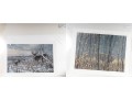 Robert Bateman And Michael Sieve Signed Lithographs Depicting Whitetailed Deer