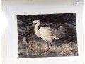Carl Brenders And Robert Bateman Signed Lithographs Depicting Egrets**